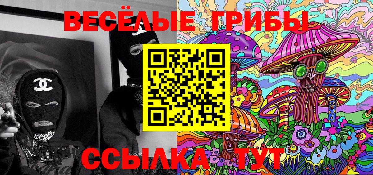 Галлюциногенные грибы Psilocybine cubensis Россошь