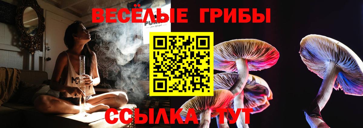 Россошь  Псилоцибиновые грибы ЛСД  купить наркотик  Вход с VPN  Псилоцибиновые грибы Psilocybe 